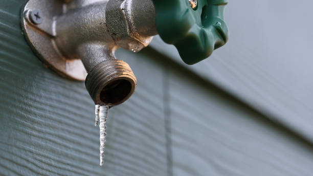 Best Plumbing Inspection Services  in Lees Summit, MO